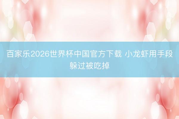 百家乐2026世界杯中国官方下载 小龙虾用手段躲过被吃掉